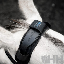 Protector Testero Horseware Ionic Calmante