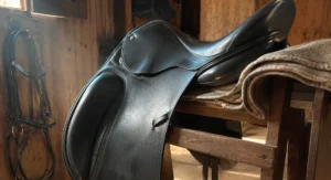 Cómo elegir una silla de doma clásica