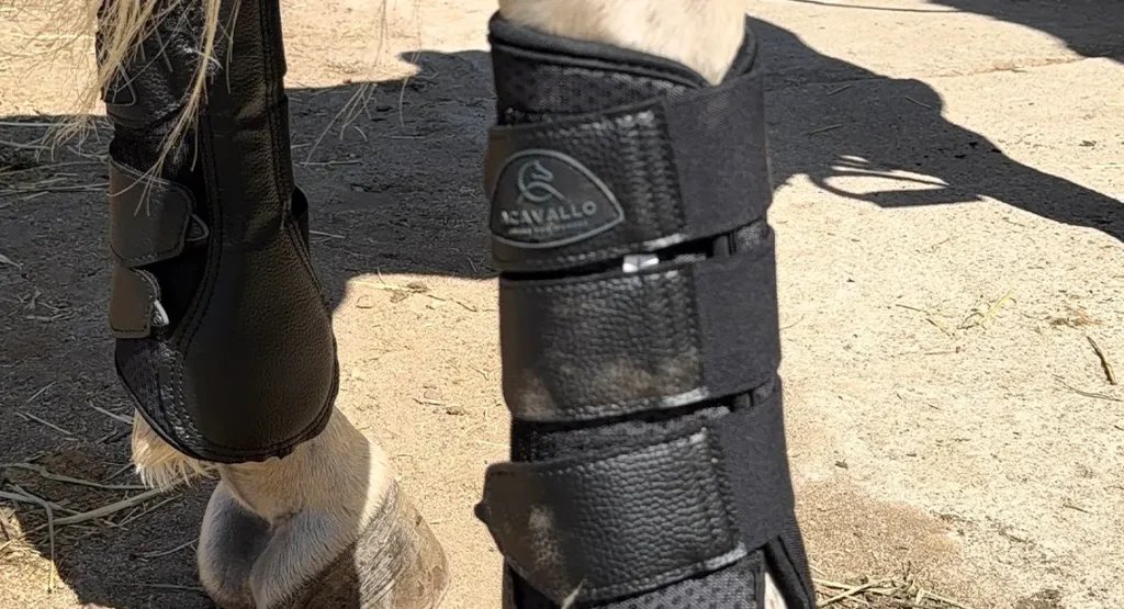 Tipos de protectores para caballos colocados en la pata delantera