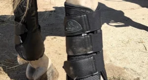 Tipos de protectores para caballos colocados en la pata delantera